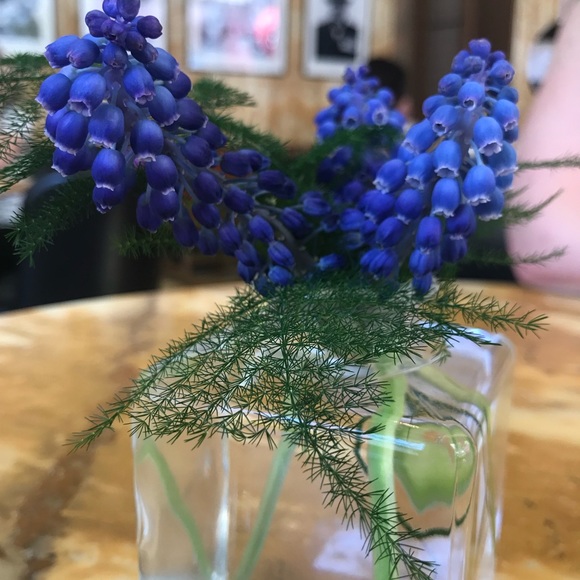 Meet your Posher, Suzy - Picture 1 of 1